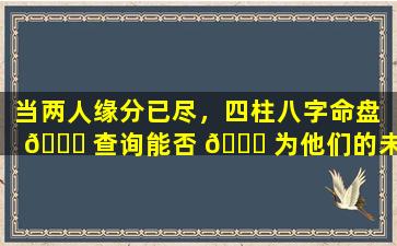 当两人缘分已尽，四柱八字命盘 🐝 查询能否 🐅 为他们的未来指明方向